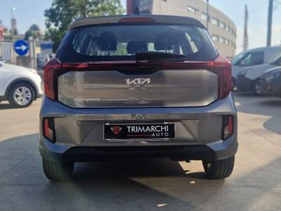 Kia Picanto 1.0 12V 5 porte Urban Grigio usata Polistena
