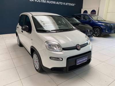 Fiat Panda 1.0 FireFly S&S Hybrid Bianco usata Concordia Sagittaria