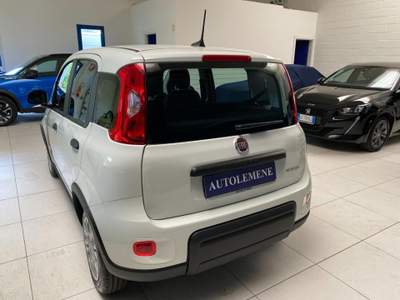 Fiat Panda 1.0 FireFly S&S Hybrid Bianco usata Concordia Sagittaria