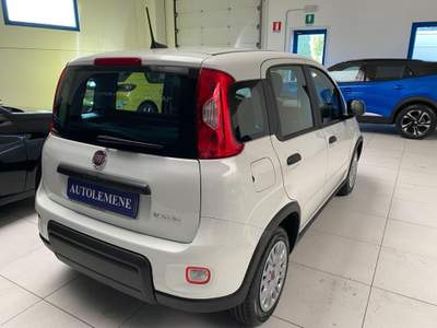 Fiat Panda 1.0 FireFly S&S Hybrid Bianco usata Concordia Sagittaria