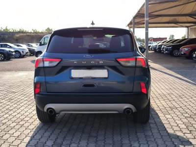 Ford Kuga 1.5 EcoBlue 120 CV aut. 2WD Titanium Business Grigio usata San Salvatore Telesino