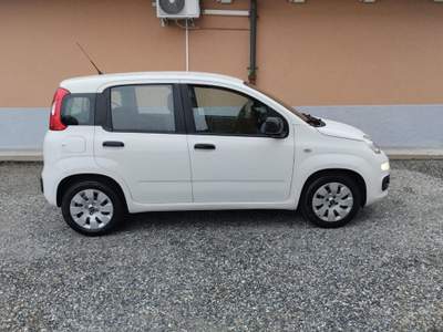Fiat Panda 1.2 Lounge  *DISTRIBUZIONE ESEGUITA* Bianco usata Jerago con Orago