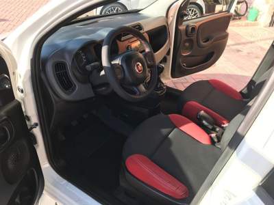 Fiat Panda 1.3 MJT 80 CV S&S 4x4 Bianco usata MASSA MARTANA