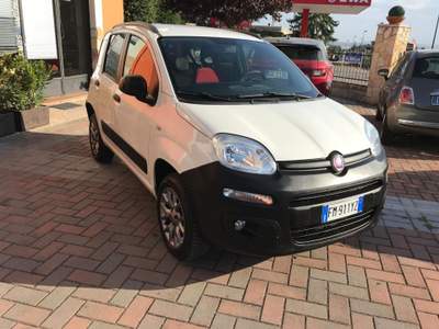 Fiat Panda 1.3 MJT 80 CV S&S 4x4 Bianco usata MASSA MARTANA