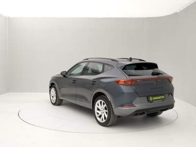 Cupra Formentor 1.5 tsi Grigio usata Torino