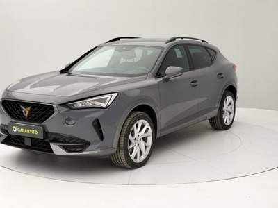 Cupra Formentor 1.5 tsi Grigio usata Torino