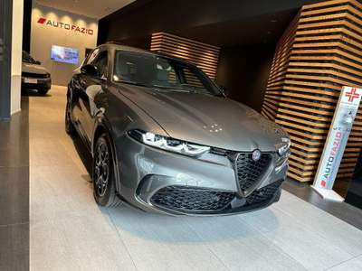 Alfa Romeo Tonale 1.6 diesel 130 CV TCT6 Sprint Grigio usata Santa Maria di Licodia