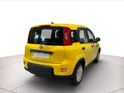 Fiat Panda 1.0 hybrid 70cv Giallo usata Rovigo