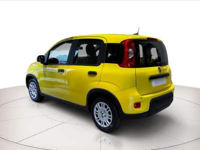 Fiat Panda 1.0 hybrid 70cv Giallo usata Rovigo