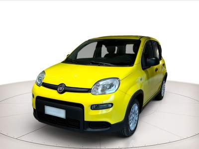 Fiat Panda 1.0 hybrid 70cv Giallo usata Rovigo