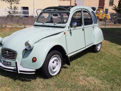 Citroen 2CV 6 Special Blu/Azzurro usata Vicolungo