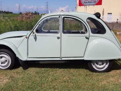 Citroen 2CV 6 Special Blu/Azzurro usata Vicolungo