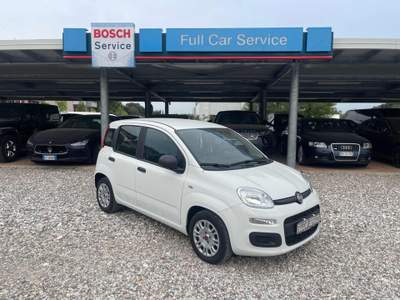 Fiat Panda 1.0 FireFly S&S Hybrid Bianco usata VALEGGIO SUL MINCIO