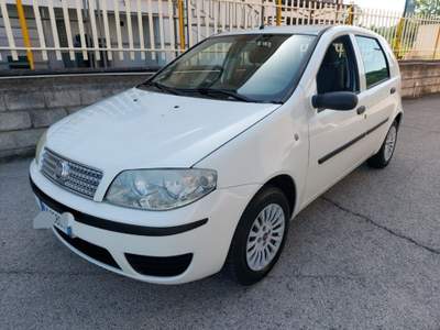 Fiat Punto Classic 1.2 5 porte Active GPL Bianco usata Grottaminarda
