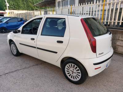 Fiat Punto Classic 1.2 5 porte Active GPL Bianco usata Grottaminarda