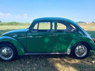 Volkswagen Maggiolino Mexico 11 D 11 Verde usata Vicolungo
