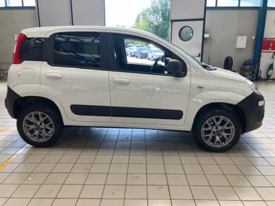 Fiat Panda 1.3 MJT 80 CV S&S 4x4  5 POSTI Bianco usata Cassino