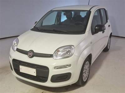 Fiat Panda 1.0 FireFly S&S Hybrid Bianco usata Corciano