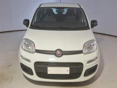 Fiat Panda 1.0 FireFly S&S Hybrid Bianco usata Corciano