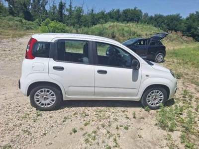 Fiat Panda 1.0 FireFly S&S Hybrid Bianco usata Corciano