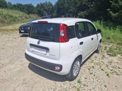 Fiat Panda 1.0 FireFly S&S Hybrid Bianco usata Corciano