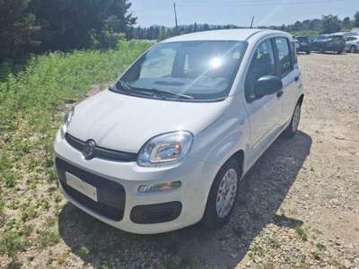 Fiat Panda 1.0 FireFly S&S Hybrid Bianco usata Corciano