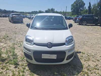 Fiat Panda 1.0 FireFly S&S Hybrid Bianco usata Corciano