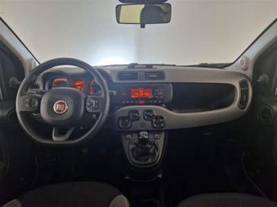 Fiat Panda 1.0 FireFly S&S Hybrid City Life Verde usata Corciano