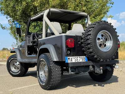 Jeep Wrangler YJ 4.0 Automatik+klima Grigio usata Carpi