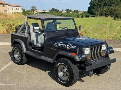 Jeep Wrangler YJ 4.0 Automatik+klima Grigio usata Carpi