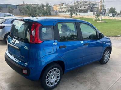Fiat Panda 1.0 FireFly S&S Hybrid Launch Ed. usata Palo del Colle