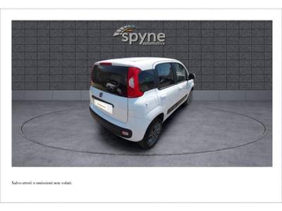 Fiat Panda 1.3 MJT 4x4 Pop Van 2 posti Bianco usata Castelnuovo Rangone