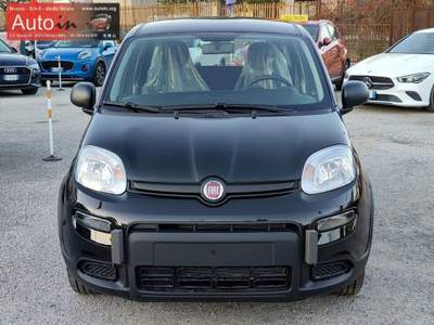Fiat Panda 1.0 70CV Hybrid NUOVA Km0 Bianco usata Bonea