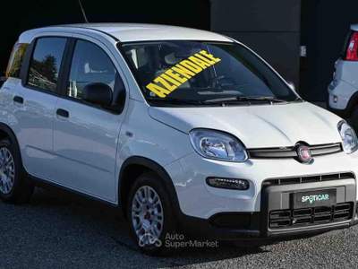 Fiat Panda 1.0 FireFly S&S Hybrid 70cv 5P.TI Bianco usata Pianezza