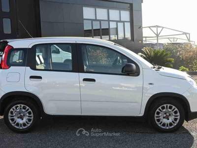 Fiat Panda 1.0 FireFly S&S Hybrid 70cv 5P.TI Bianco usata Pianezza
