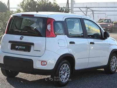 Fiat Panda 1.0 FireFly S&S Hybrid 70cv 5P.TI Bianco usata Pianezza