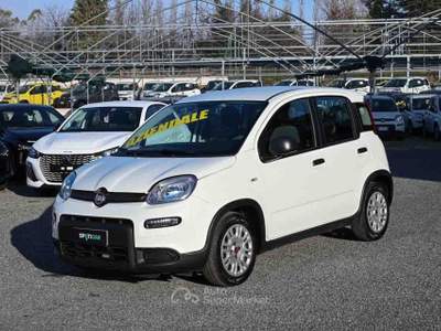 Fiat Panda 1.0 FireFly S&S Hybrid 70cv 5P.TI Bianco usata Pianezza