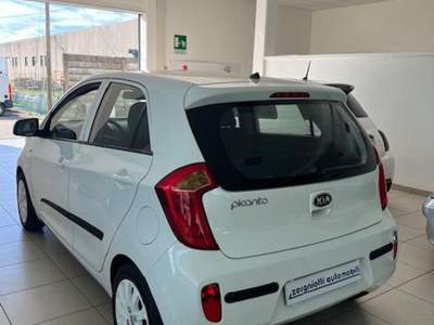 Kia Picanto 1.0 12V 5 porte Glam Bianco usata Cormons