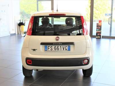 Fiat Panda 1.2 Easy Bianco usata Fontanellato