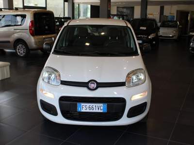 Fiat Panda 1.2 Easy Bianco usata Fontanellato