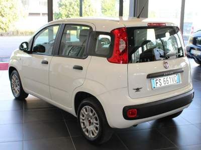 Fiat Panda 1.2 Easy Bianco usata Fontanellato