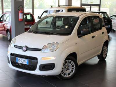 Fiat Panda 1.2 Easy Bianco usata Fontanellato
