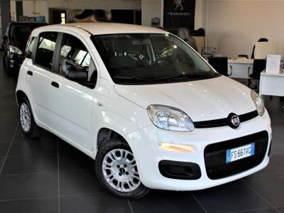 Fiat Panda 1.2 Easy Bianco usata Fontanellato Fiat Panda 1.2 Easy Bianco usata Fontanellato