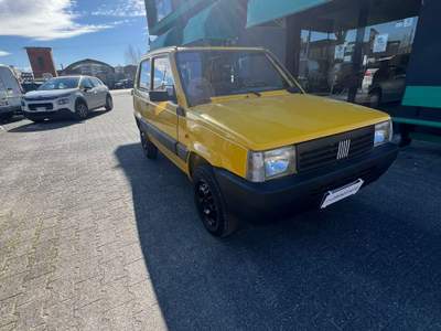Fiat Panda FIAT PANDA 4X4 Giallo usata santa maria a monte