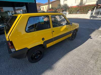 Fiat Panda FIAT PANDA 4X4 Giallo usata santa maria a monte