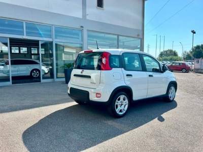 Fiat Panda 1.0 FireFly S&S Hybrid Bianco usata Empoli