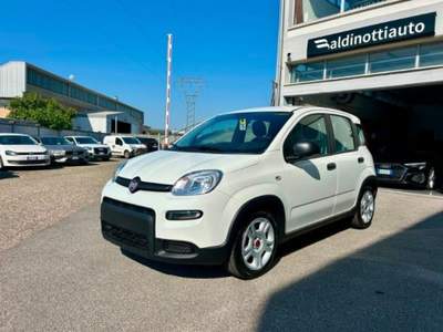 Fiat Panda 1.0 FireFly S&S Hybrid Bianco usata Empoli Fiat Panda 1.0 FireFly S&S Hybrid Bianco usata Empoli