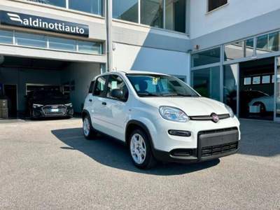 Fiat Panda 1.0 FireFly S&S Hybrid Bianco usata Empoli