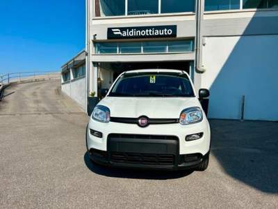 Fiat Panda 1.0 FireFly S&S Hybrid Bianco usata Empoli