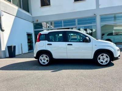 Fiat Panda 1.0 FireFly S&S Hybrid Bianco usata Empoli